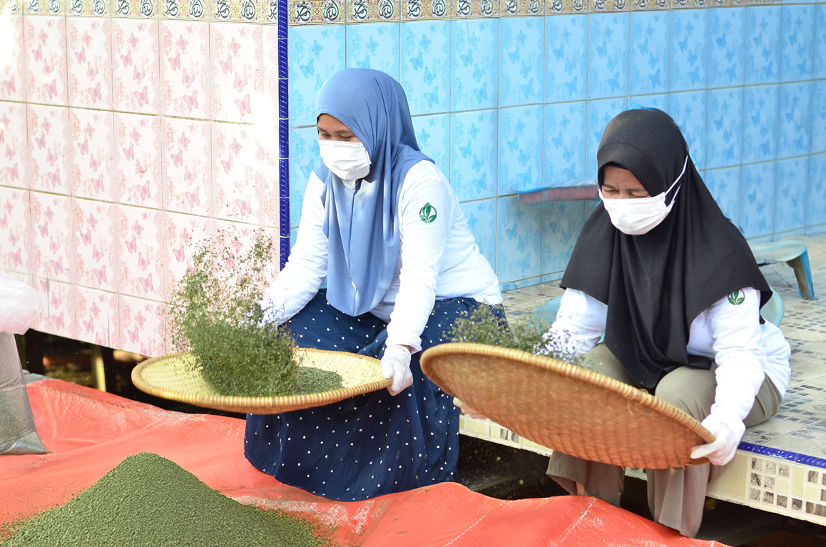 Kleidung mit Kratom färben